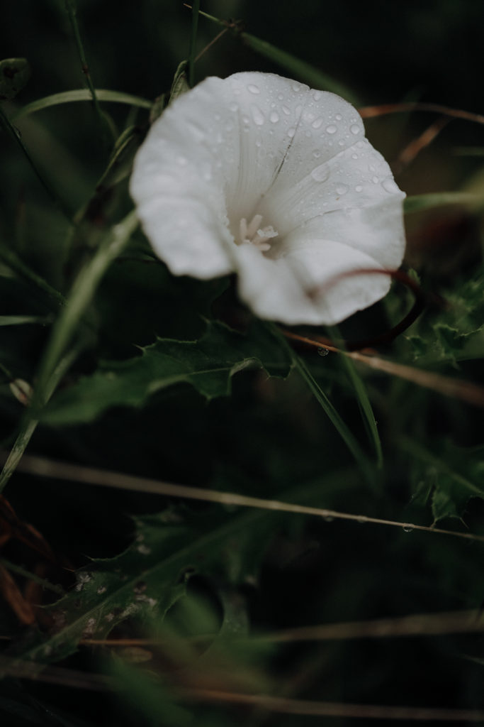 Packrafting Microadventure Packrafttrail Niederlande