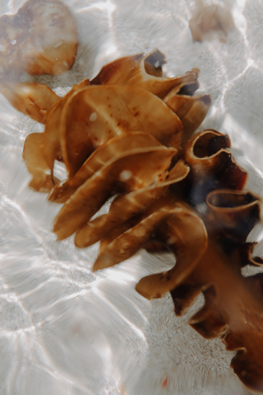 South West Coast Path Etappen Planung Porthgwarra