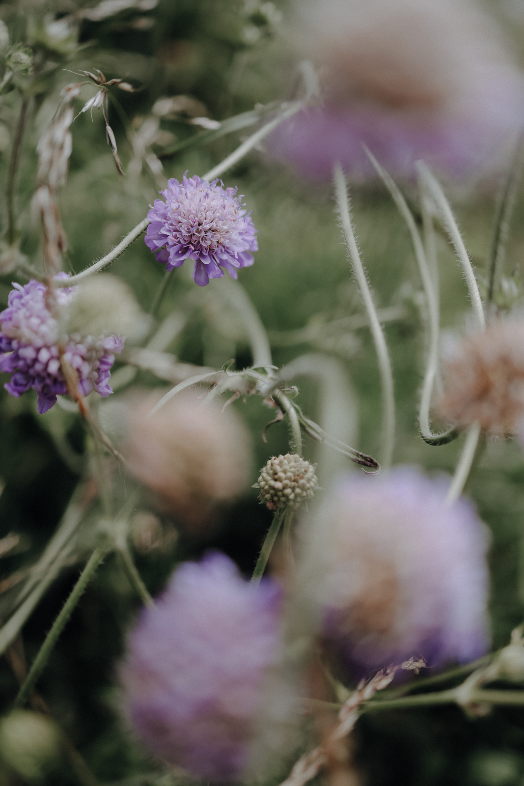 South West Coast Path Etappen Planung Friedhof Uny Lelang
