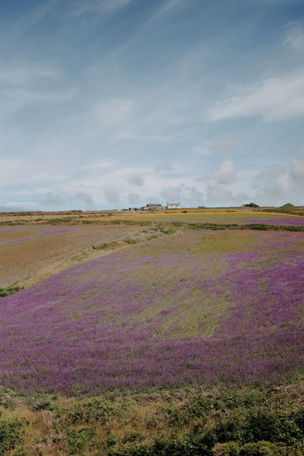 South West Coast Path Etappen Planung