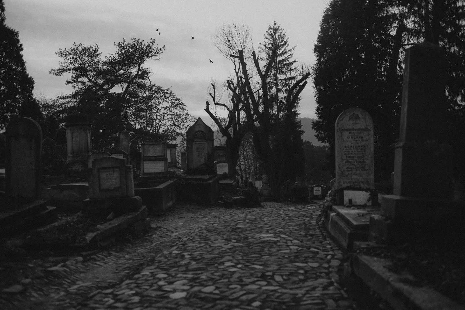 Sighisoara Rumänien