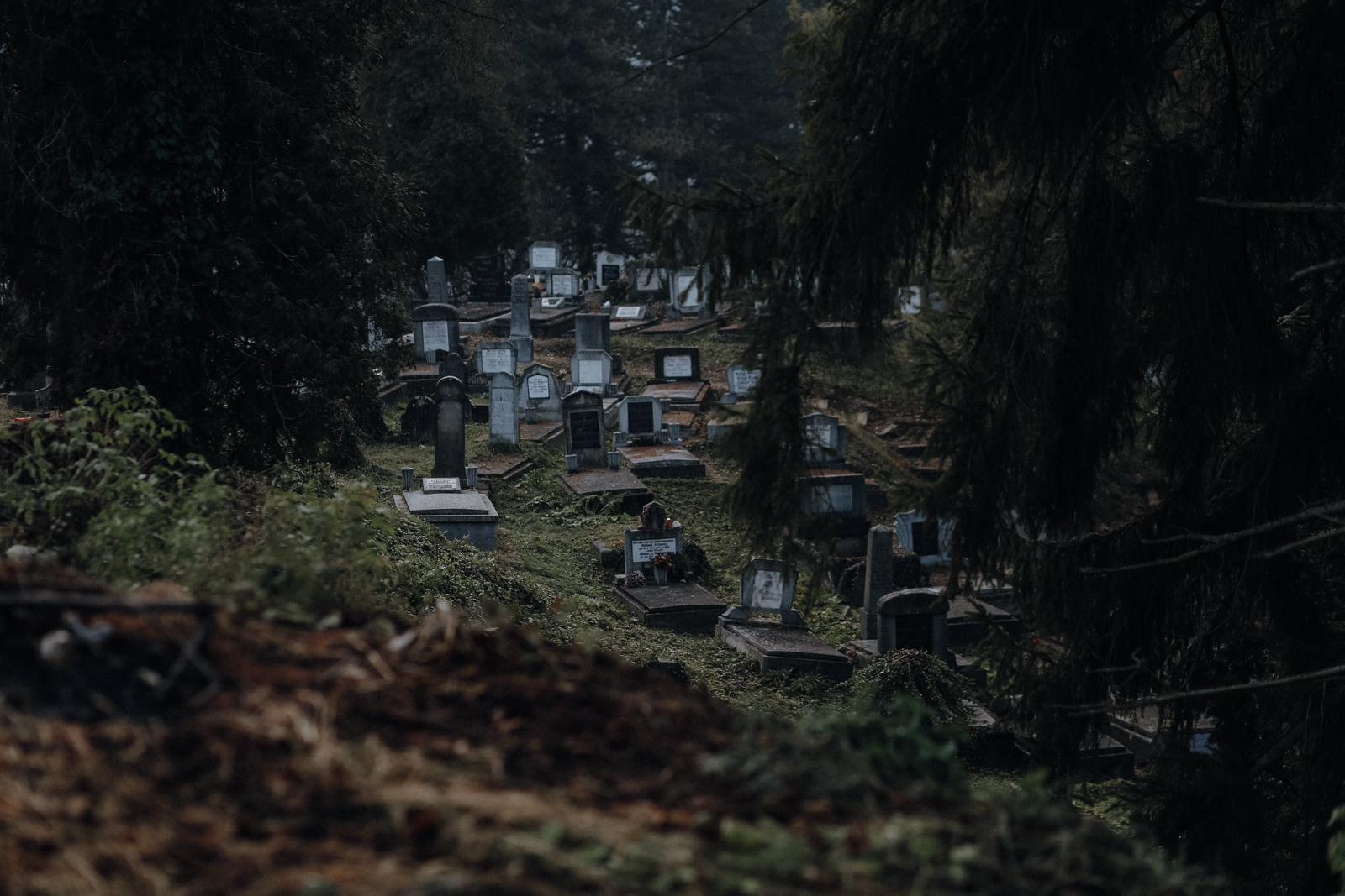 Sighisoara Rumänien